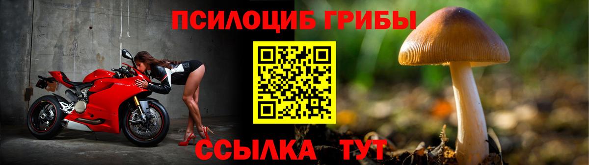 Горно-Алтайск  Псилоцибиновые грибы мицелий  Вход с VPN  Псилоцибиновые грибы GOLDEN TEACHER 